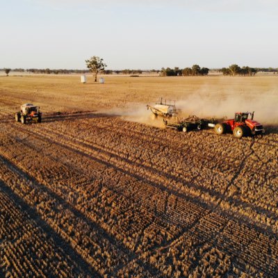 Profile Picture of Mitchell Miller (@mitchmiller25) on Twitter