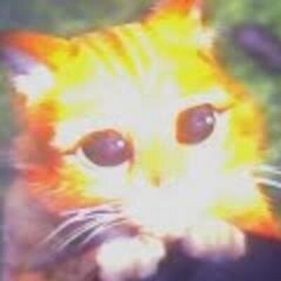 Profile Picture of Mário Tavares Do Nas (@tigreblu1) on Twitter