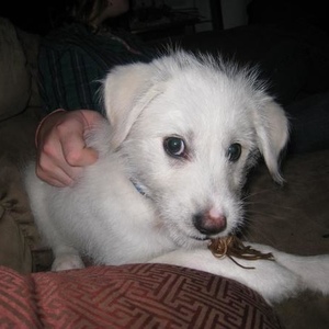 Profile Picture of Cletus Bean (@barefootwoodstockians) on Myspace