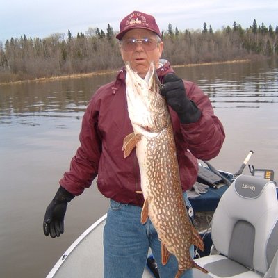 Profile Picture of Mark Westermeyer (@mwestermeyer2) on Twitter
