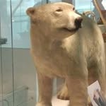 Profile Picture of Róbert Jaskó (@robert.jasko) on Instagram