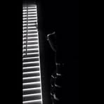 Profile Picture of Cooper Savoy (@cooper.savoy.5) on Facebook