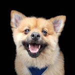 Profile Picture of Sam Fraser (@eds__adventures) on Instagram
