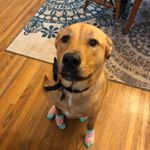 Profile Picture of Thomas Whittemore (@tomwhittemore_) on Instagram