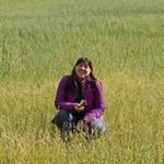 Lise Boisvert - Instagram Profile Picture of Lise Boisvert (@liseboisvert) on Instagram