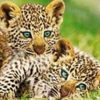 Profile Picture of Rudy Paz (@rudy-paz) on Quora