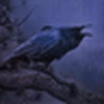 Profile Picture of Scott Robbins (@Black Raven of Ophiuchus :::13:::) on Flickr
