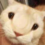 Profile Picture of миша масленников (@michael.maslennikov.2301) on Instagram