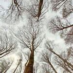 Profile Picture of Evelyn Funes (@funes4331) on Instagram