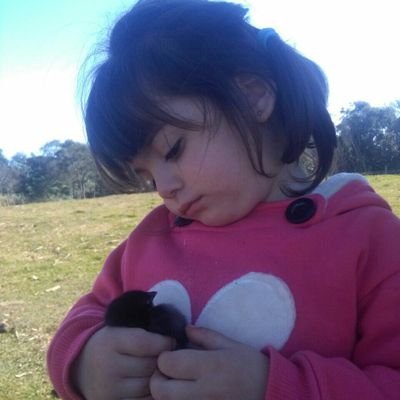 Profile Picture of Pat Crespo Chilavert (@LaPipideVelez) on Twitter