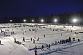 Profile Picture of World Pond Hockey Championships - Wikipediaon Wikipedia