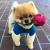 Profile Picture of Varkey George (@@varkeygeorge7) on Tiktok