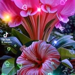 Profile Picture of Abdias Perez (@Abdias-Perez) on Facebook