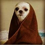 Profile Picture of Kareem Abdullah (@karee_mabdullah) on Instagram