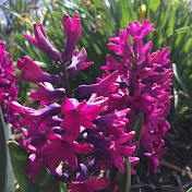 Justin Forman - Youtube Profile Picture of Justin Forman (@justindforman) on Youtube