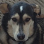 Profile Picture of Ben Weiler (@bweiler_nosound) on Instagram