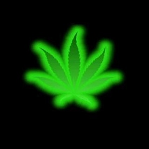 Profile Picture of Gavin Swenson (@206869717) on Myspace