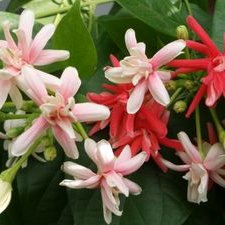 Profile Picture of JosephValent (@JosephValent1) on Twitter