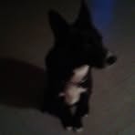 Profile Picture of Ian Flatt (@ian.flatt.39) on Facebook