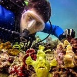 Profile Picture of Jeremy (@pixtonian) on Instagram