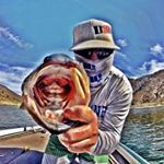 Profile Picture of 🤙 (@jasoncloke) on Instagram