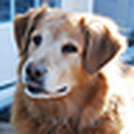 Profile Picture of Hairlikethis (@hairlikethis) on Flickr