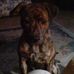Profile Picture of Janet Reavis (@janet.reavis.9883) on Facebook