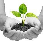 Profile Picture of Cassandras Dilemma (@cassandracemus) on Instagram