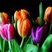 Profile Picture of JoAnn Sutherland (@joann.sutherland.9) on Facebook