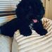 Profile Picture of Donna MacGregor (@donna.macgregor.165) on Facebook