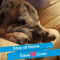 Profile Picture of Kimberly Cates (@kimberly-cates-20) on Quora