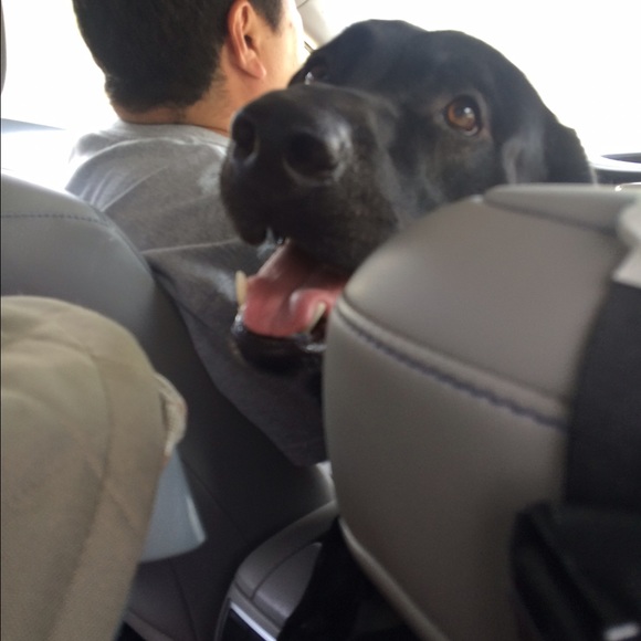 Jennifer Kobata - Poshmark Profile Picture of Jennifer Kobata (@jkobata) on Poshmark