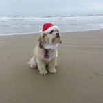 Profile Picture of Nancy Fowler (@nancy.fowler.161) on Instagram