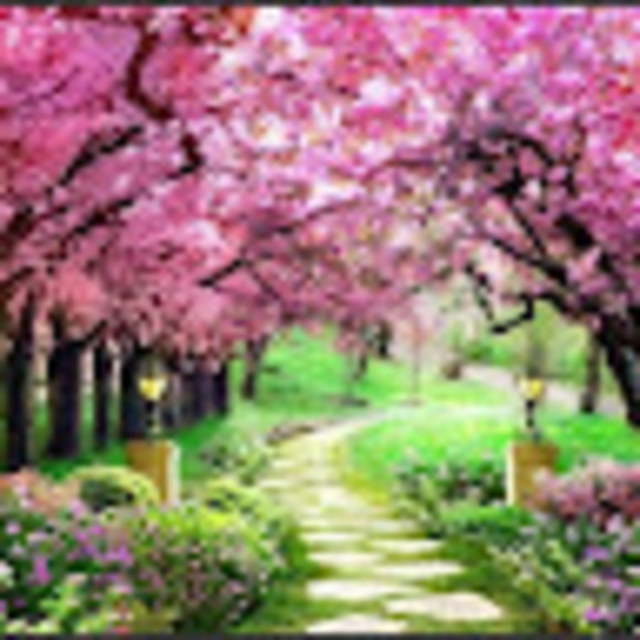 Profile Picture of Moradmom Morad (@moradmommorad) on Poshmark