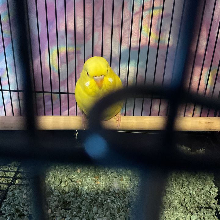 Profile Picture of Devyn Haley (@devynhaley) on Tiktok
