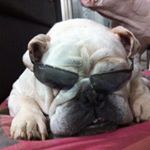 Profile Picture of Nicolas Pizano (@nicolaspizano14) on Instagram