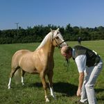 Profile Picture of Terry Stevens (@terry.stevens.1291) on Instagram