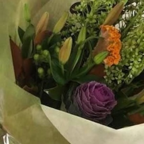 Profile Picture of Pam Tindill (@ptindill) on Poshmark