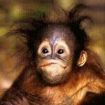 Wildcard Alfredo - Instagram Profile Picture of Wildcard Alfredo (@algiebells) on Instagram