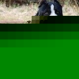 Profile Picture of Fernando Candia (@234678961) on Myspace