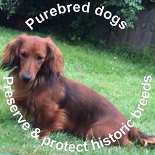 Profile Picture of Lucy Hanishan (@lucy.hanishan) on Facebook