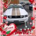 Profile Picture of Micheal Gabbert (@micheal.gabbert.940) on Facebook