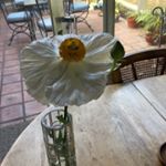 Profile Picture of Helen L. Haskell (@helenl.haskell) on Instagram