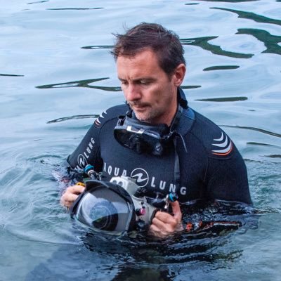 Profile Picture of Nuno Vasco Rodrigues (@NunoVRodrigues) on Twitter