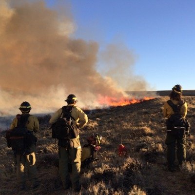 Profile Picture of Travis Whitney (@intothewild5280) on Twitter