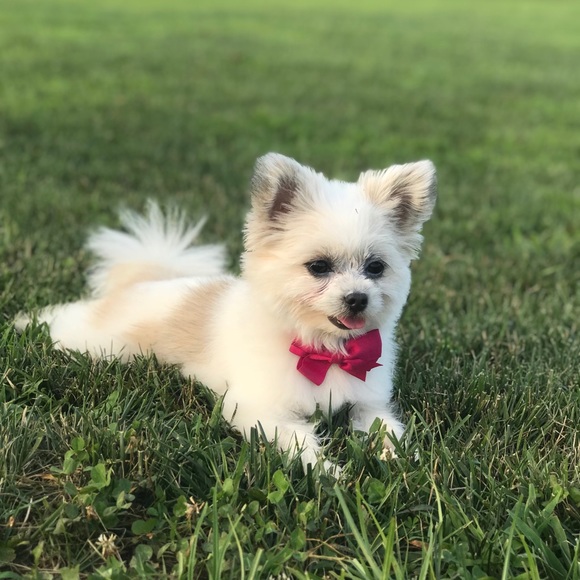 Profile Picture of Haylee Huffman (@smithsara210) on Poshmark