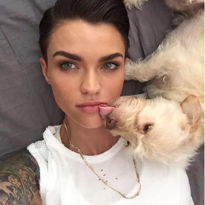 Profile Picture of Ruby As Louis (@RubyRoseasLouis) on Twitter