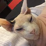 Profile Picture of Richard Trotter (@rcgtrotter) on Instagram