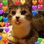 Profile Picture of UwU (@abigail_mendezzzz) on Instagram