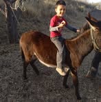 Profile Picture of Noel Becerra (@noel.becerra.587) on Facebook